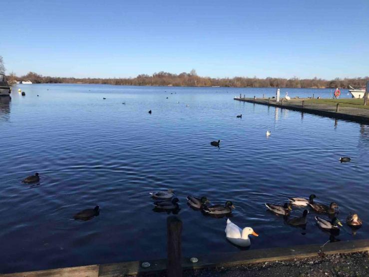 Villa Cosy Pet Friendly Victorian Coachhouse Near Nature Walks On Norfolk Broads, With Fire Pit, Bbq & Alpacas Ranworth Exterior foto