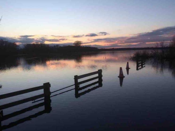 Villa Cosy Pet Friendly Victorian Coachhouse Near Nature Walks On Norfolk Broads, With Fire Pit, Bbq & Alpacas Ranworth Exterior foto